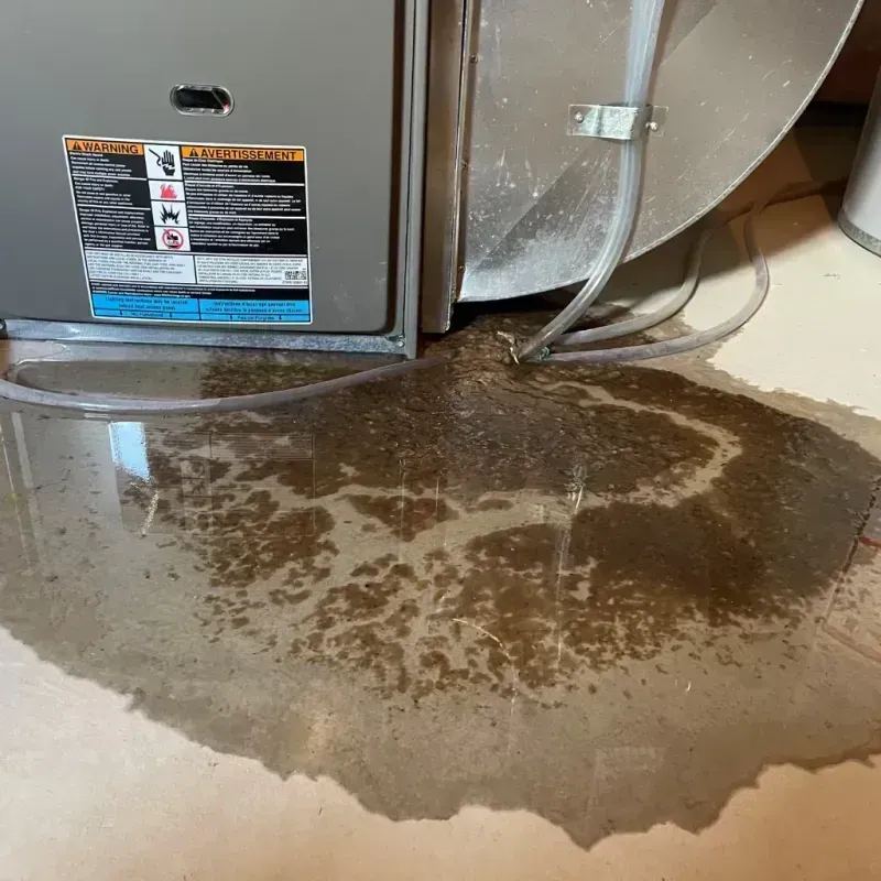 Appliance Leak Cleanup in Grove City, PA